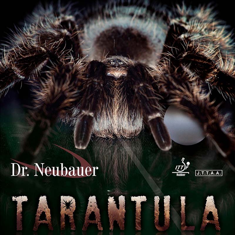 Dr. Neubauer Tarantula